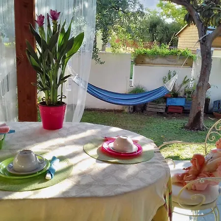 Charming In Tollo, Garden *