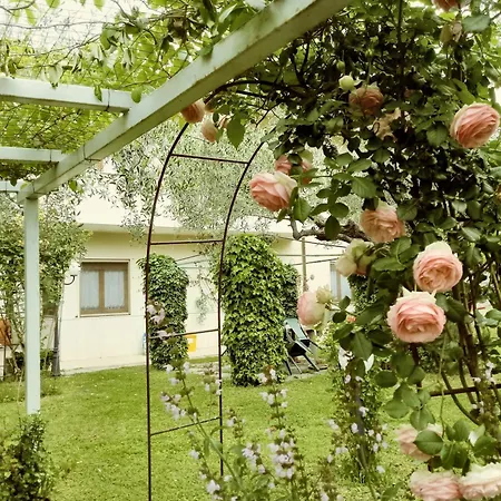 Charming In Tollo, Garden * Tollo