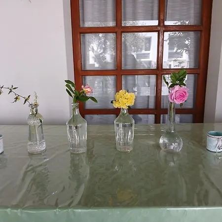 Charming In Tollo, Garden